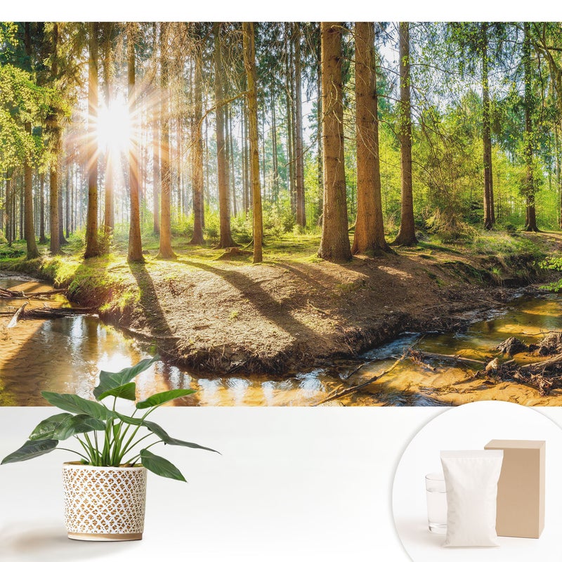 Tapeta flizelinowa stylowa dekoracyjna elegancka nowoczesny motyw trwała i praktyczna - Promienne słońce w leśnym krajobrazie - 152x104