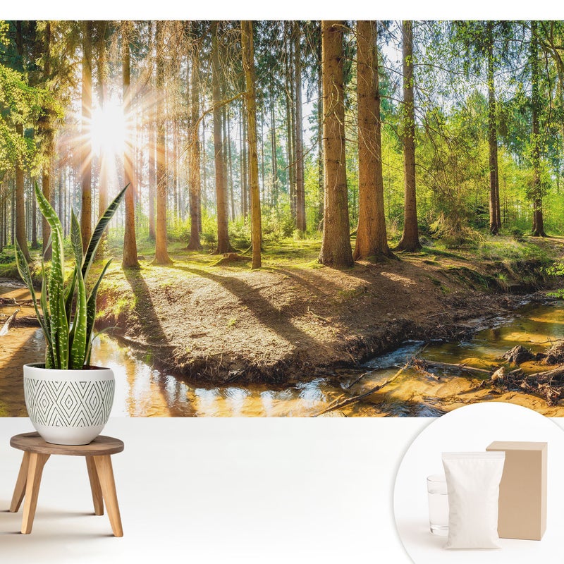 Tapeta flizelinowa stylowa dekoracyjna elegancka nowoczesny motyw trwała i praktyczna - Promienne słońce w leśnym krajobrazie - 208x146