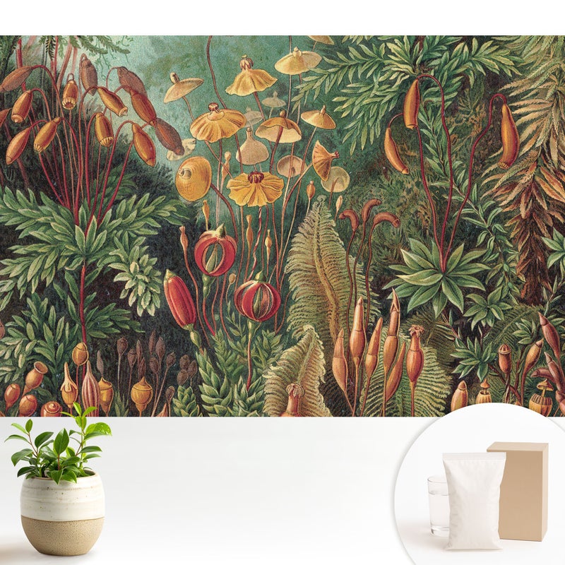 Tapeta dekoracyjna z flizeliny stylowa nowoczesny motyw elegancka powierzchnia odporna - Egzotyczna roślinność w harmonijnej kompozycji - 104x70