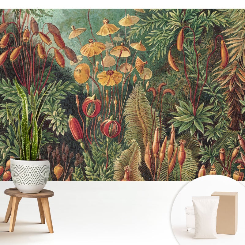 Tapeta dekoracyjna z flizeliny stylowa nowoczesny motyw elegancka powierzchnia odporna - Egzotyczna roślinność w harmonijnej kompozycji - 208x146