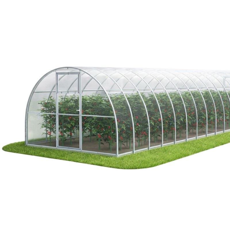 Szklarnia ogrodowa Tunel 3x12 m profile 20x20 poliwęglan 4mm - Szklarnia z poliwęglanu