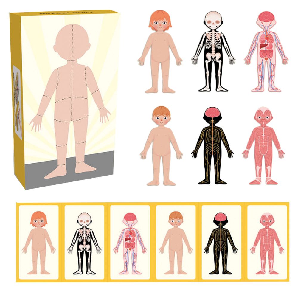 Puzzle magnetyczne ciało człowieka Askato - puzzle