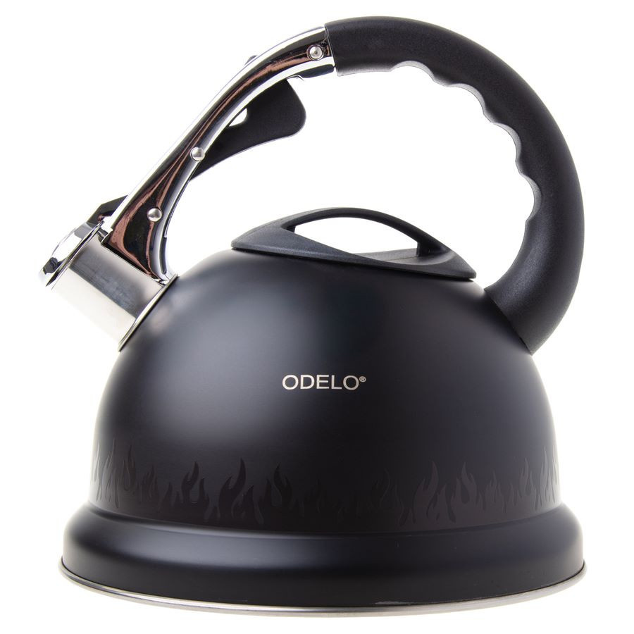 Czajnik stalowy 3,2L FLANN MAGIC gr.dno/OD2629 DH-OD2629