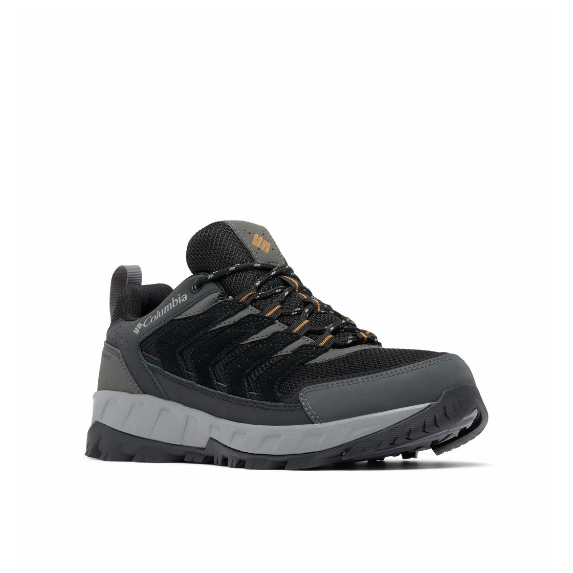 Buty męskie Columbia Strata Trail™ Low Wp Rozmiar butów (UE): 43,5 / Kolor: czarny/szary