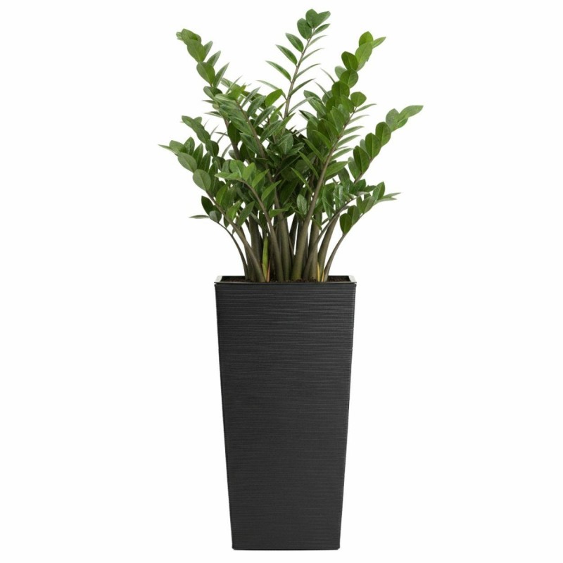 HowHomely Donica Porto Riflo czarna h46x25x25 cm