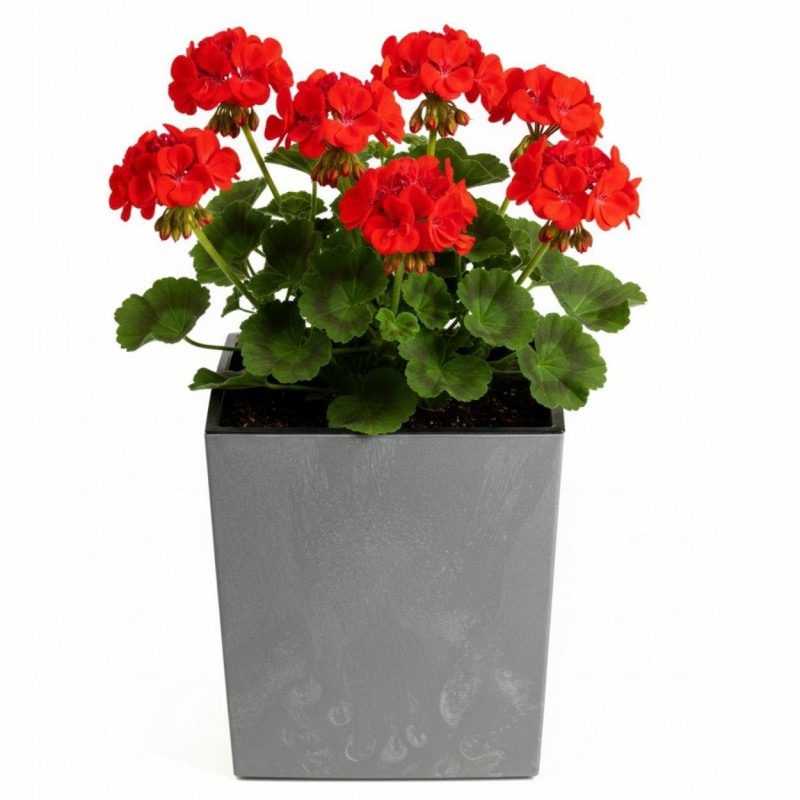 HowHomely Donica Flore Szary Beton h30,5x29,5x29,5 cm