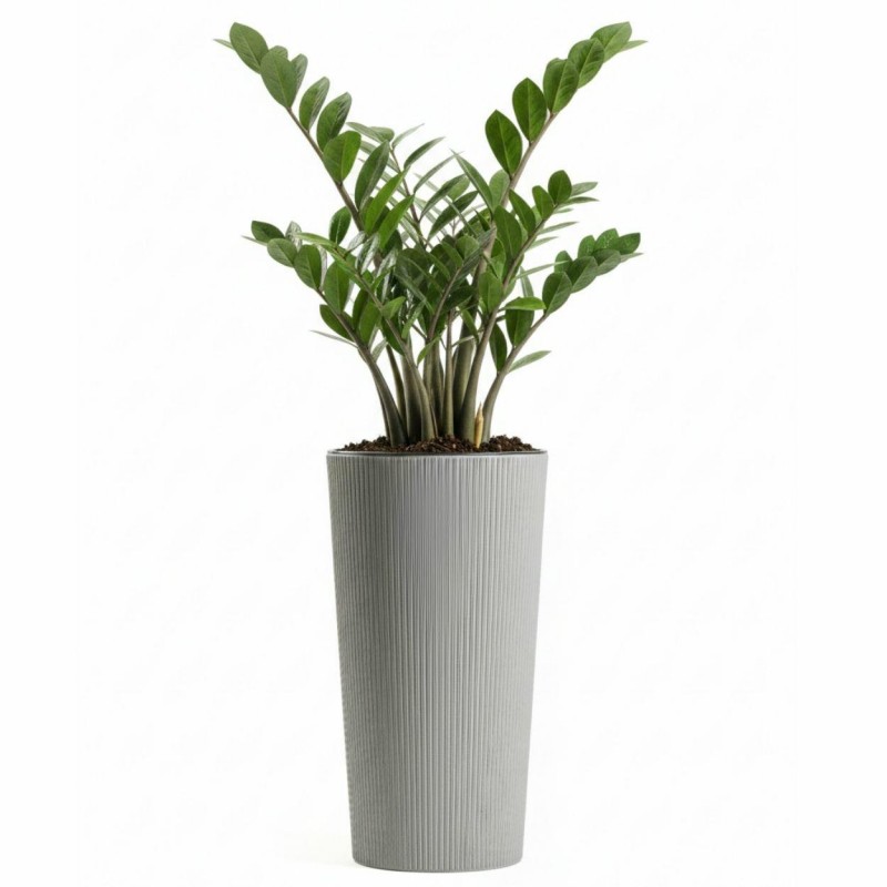 HowHomely Donica Urbanika ECO wood szary h36,4x19,6 cm