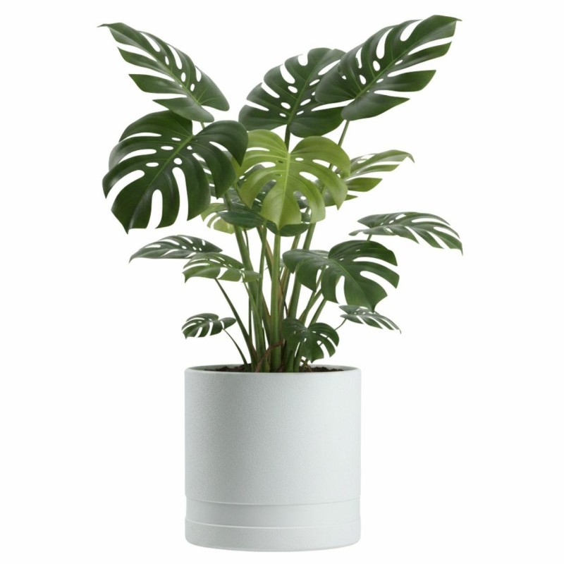 HowHomely Donica LUNA WALEC biała 30,8 cm