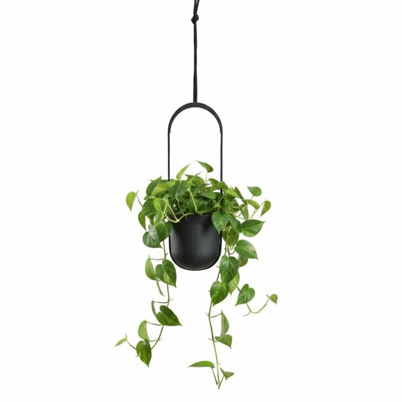 HowHomely Donica wisząca AERA HANG recykling antracyt 17,9 cm