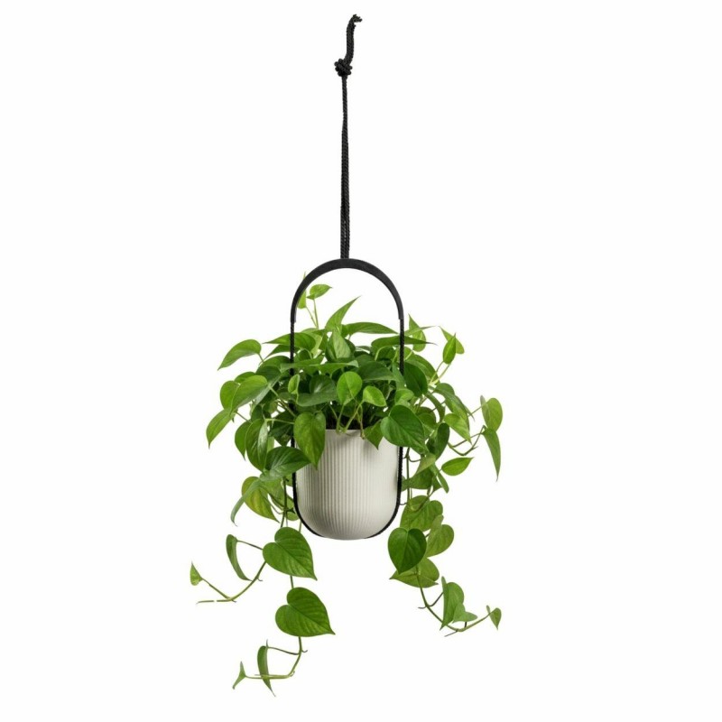 HowHomely Donica wisząca AERA HANG recykling beż 17,9 cm