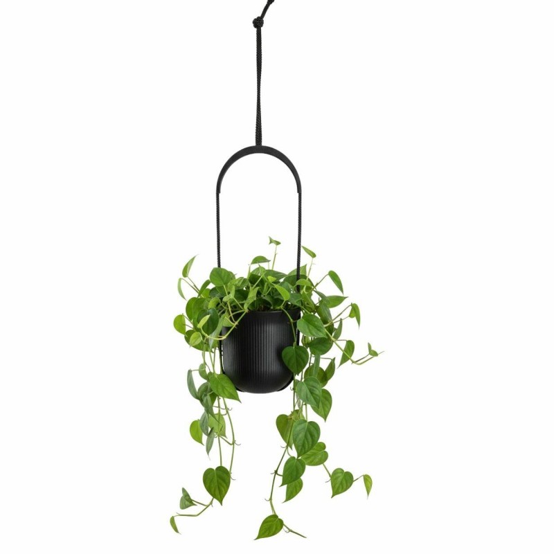 HowHomely Donica wisząca AERA HANG recykling czarna 17,9 cm