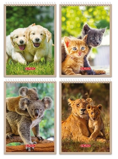 Notatnik A640k kratka Animals (10 szt) Herlitz - zeszyt
