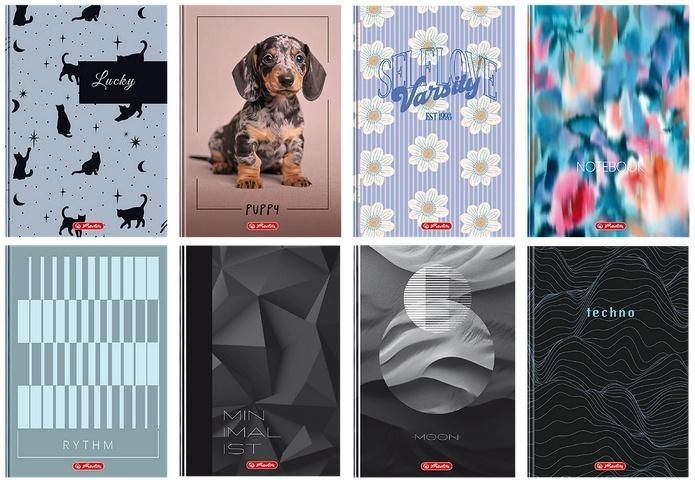 Brulion A496k linia mix (5szt) Herlitz - zeszyt