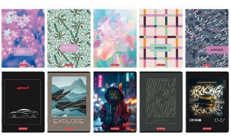 Zeszyt A596k kratka mix (5szt) Herlitz - zeszyt