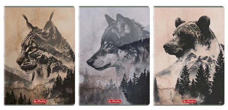 Zeszyt A480k kratka Wild (5szt) Herlitz - zeszyt