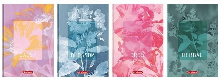 Brulion A596k kratka Blossom (5szt) Herlitz - zeszyt