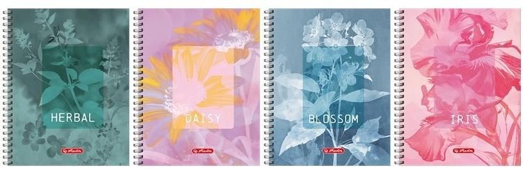 Kołozeszyt A580k kratka Blossom (5szt) Herlitz - zeszyt