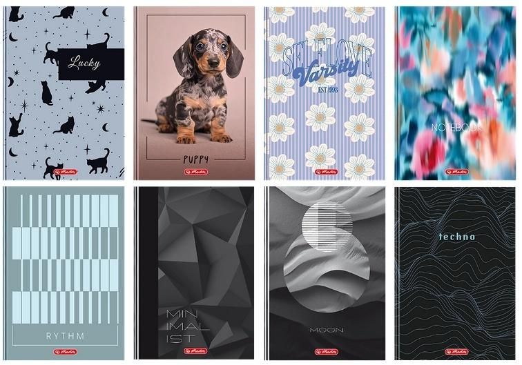 Brulion A496k kratka mix (5szt) Herlitz - zeszyt