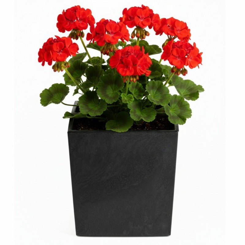 HowHomely Donica Flore Czarny Beton h30,5x29,5x29,5 cm