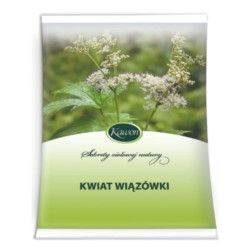 Kwiat Wiązówki