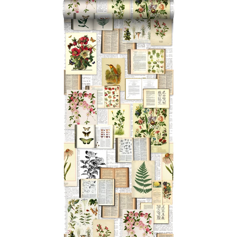 Tapeta XXL strony botaniczne kwiaty i rośliny książka jasny kremowy beż,zielonym,brązowymIochry żółtej - 50 x 900 cm - ESTAHOME