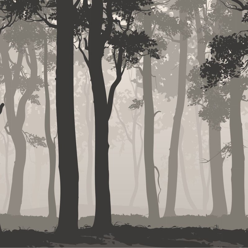 Fototapeta zalesiony krajobraz szarymIczarnym - 375 x 270 cm - SANDERS & SANDERS