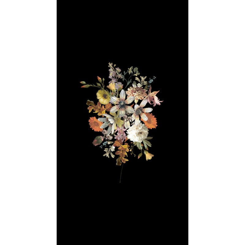 Fototapeta kwiat martwa natura multikolor na czarnym tle - 150 x 279 cm - ESTAHOME