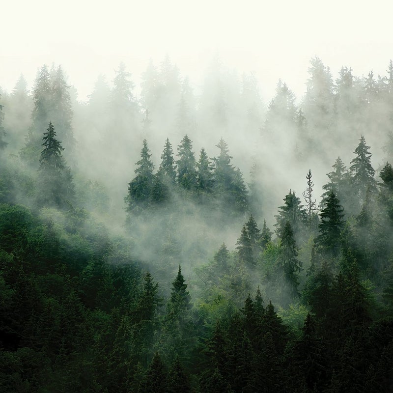 Fototapeta krajobraz górski z drzewami zielonym - 270 x 375 cm - SANDERS & SANDERS