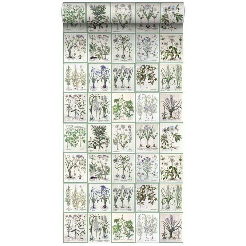 Tapeta XXL strony botaniczne kwiaty i rośliny książka zielonym - 50 x 900 cm - ESTAHOME