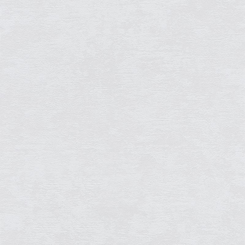 Tapeta konkretny wygląd szarym - 53 cm x 10.05 m - A.S. CRÉATION