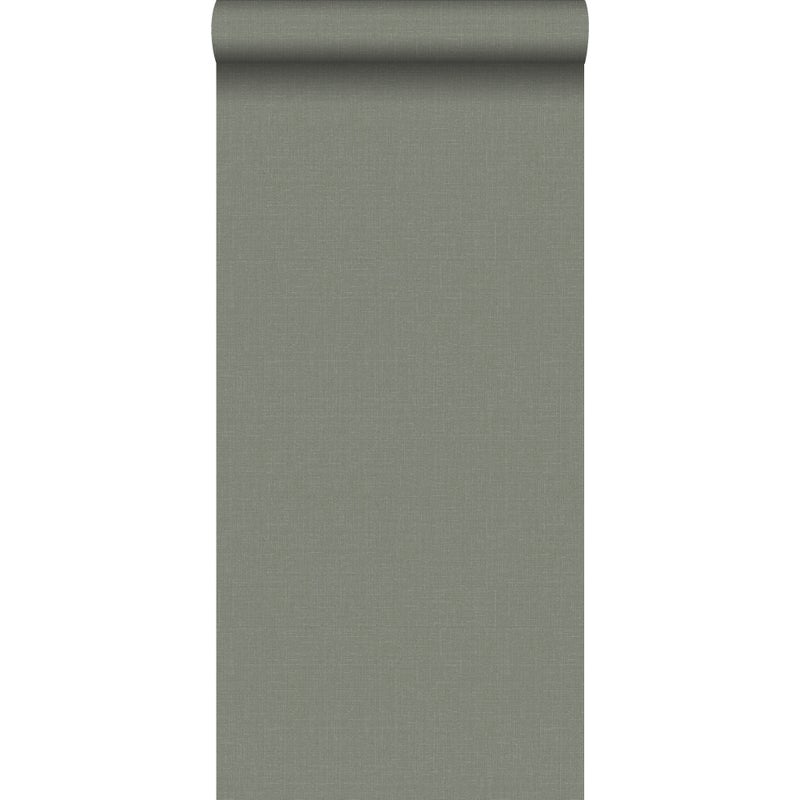 Tapeta zwykły zielonoszarym - 53 cm x 10.05 m - WALLS4YOU