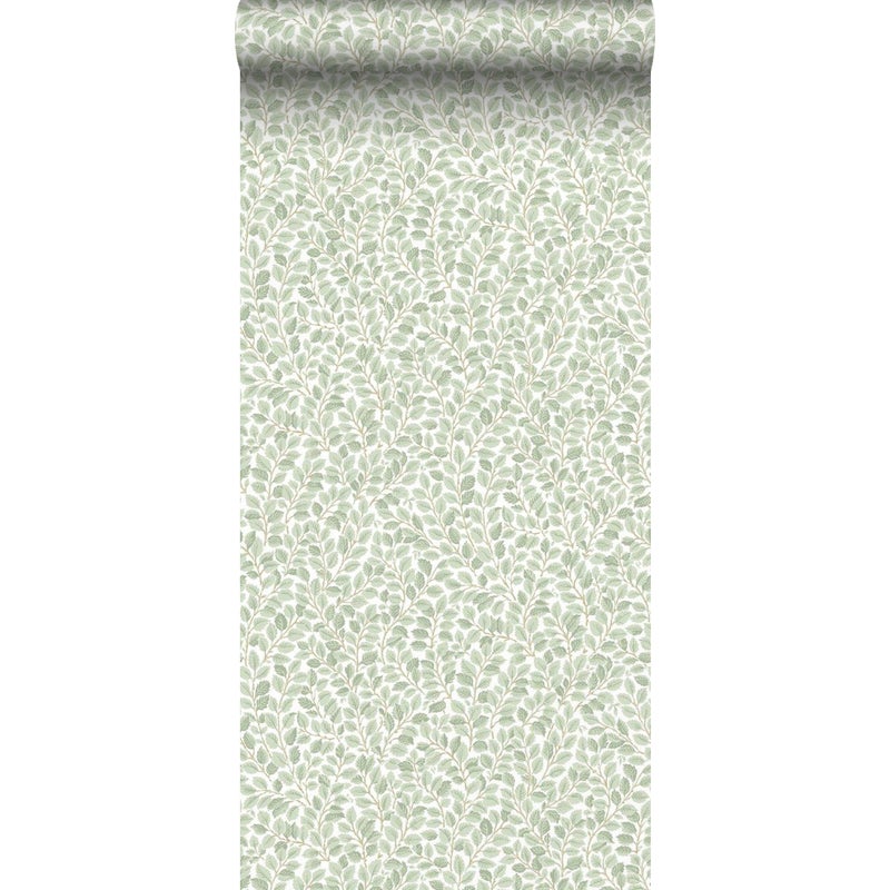 Tapeta przejrzeć zielonym - 53 cm x 10.05 m - BORASTAPETER