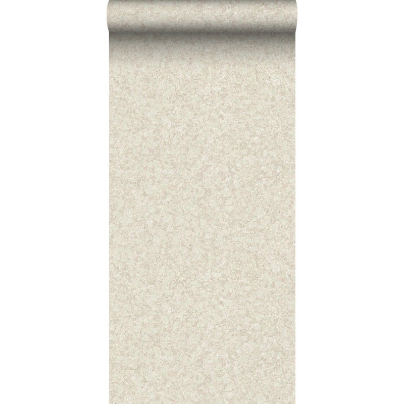 Tapeta przejrzeć beżowym - 53 cm x 10.05 m - BORASTAPETER