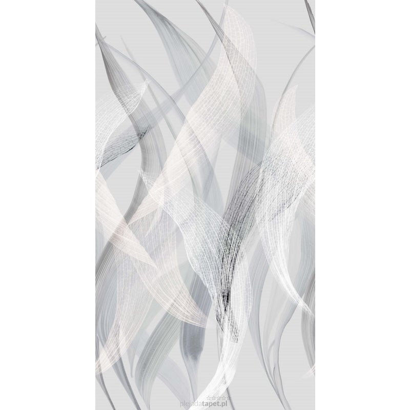 Fototapeta przejrzeć szarym - 150 x 280 cm - ERISMANN