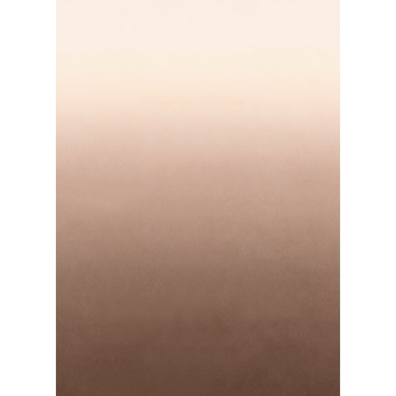 Fototapeta gradient zanurzeniowy od podłogi do sufitu brązowym - 200 x 279 cm - ESTAHOME