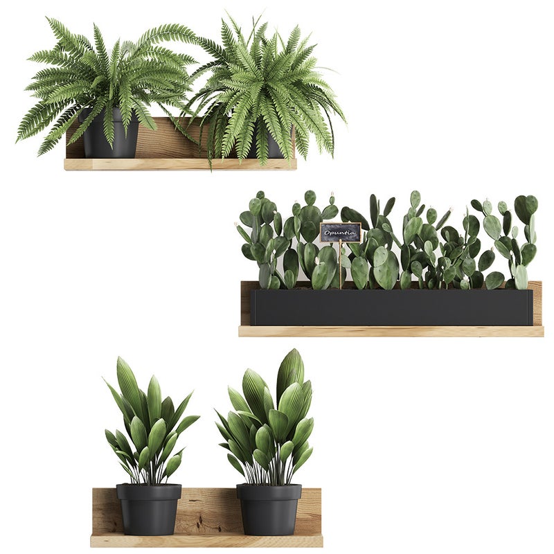 Usuwalna naklejka ścienna 3D z PVC z motywem bonsai: kreatywna dekoracja doniczkowej rośliny do sypialni i salonu.