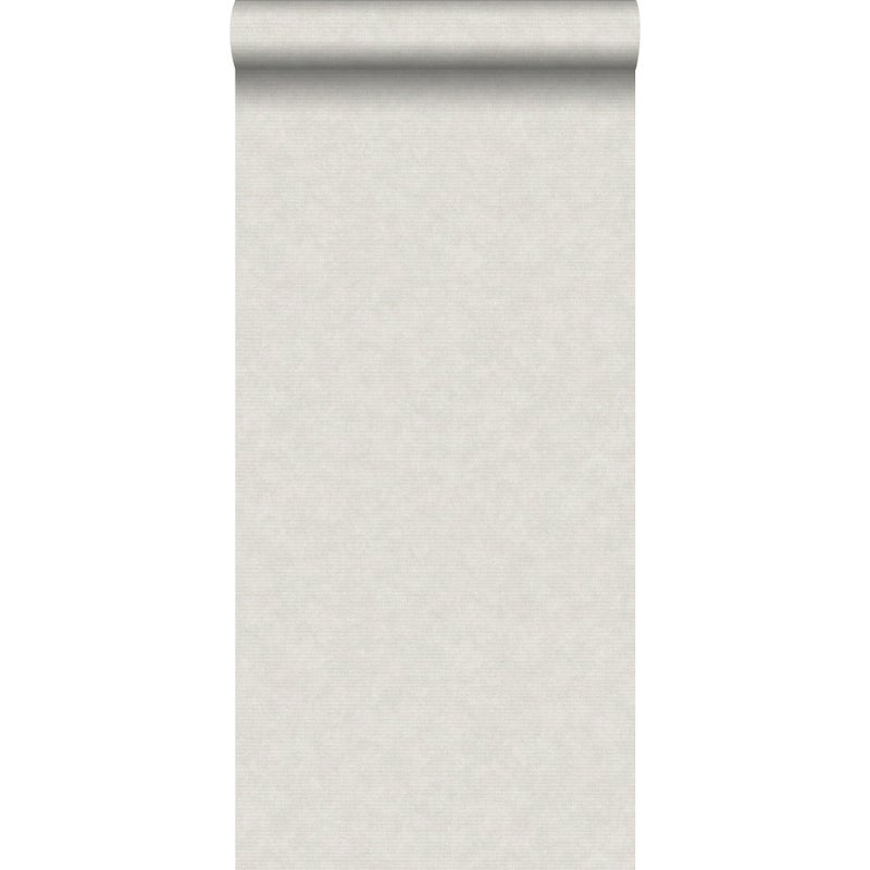 Tapeta zwykły jasnoszarym - 53 cm x 10.05 m - ESTAHOME
