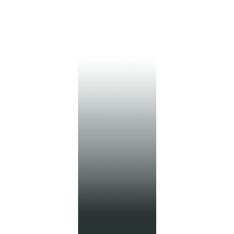 Fototapeta gradient zanurzeniowy od podłogi do sufitu czarno-białym - 100 x 279 cm - ESTAHOME