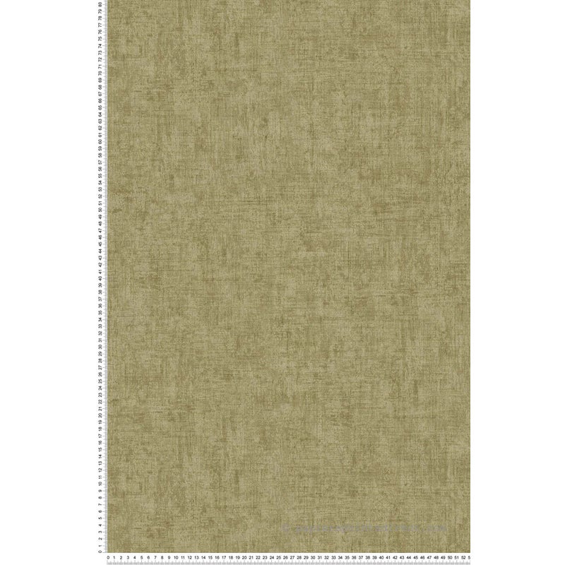 Tapeta malowany efekt szaro-oliwkowym - 53 cm x 10.05 m - A.S. CRÉATION