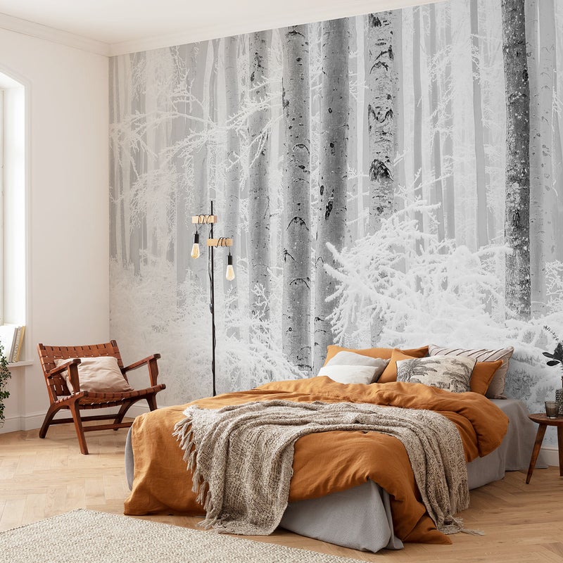 Fototapeta las szarymIbiałym - 400 x 280 cm - SANDERS & SANDERS