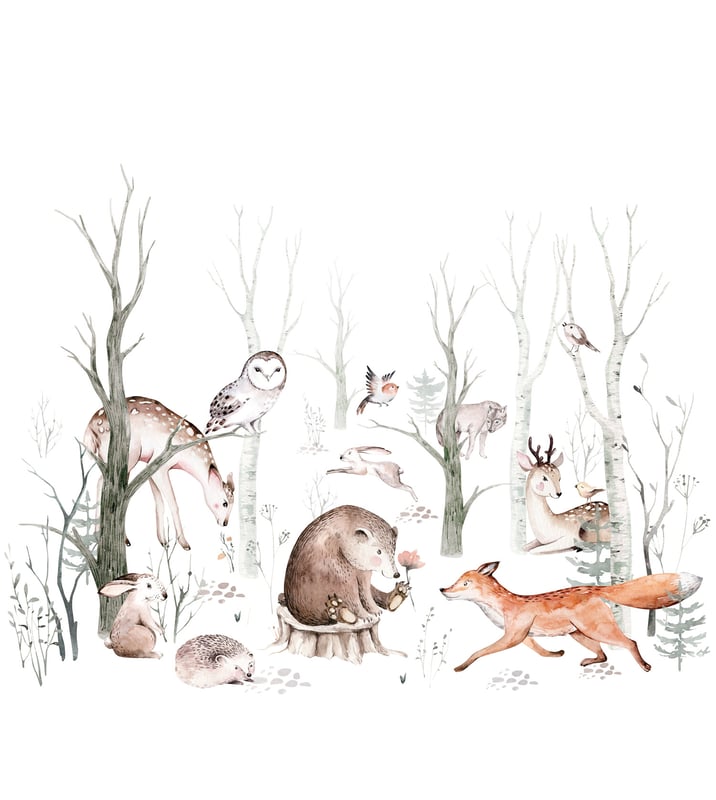 Fototapeta stare zwierzęta leśne białym,pomarańczowymIbrązowym - 250 x 279 cm - SANDERS & SANDERS