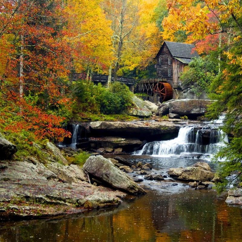 Fototapeta zalesiony krajobraz zielonym,żółtymIpomarańczowym - 127 x 180 cm - SANDERS & SANDERS