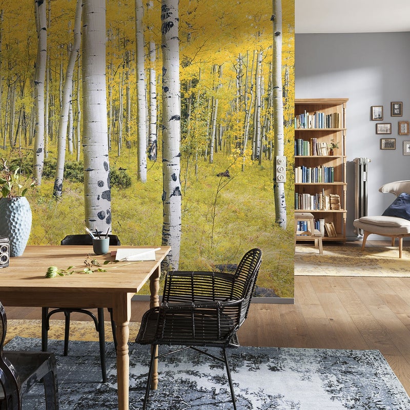 Fototapeta las żółtymIzielonym - 400 x 250 cm - SANDERS & SANDERS