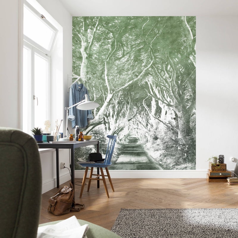 Fototapeta las zielonym - 200 x 250 cm - SANDERS & SANDERS