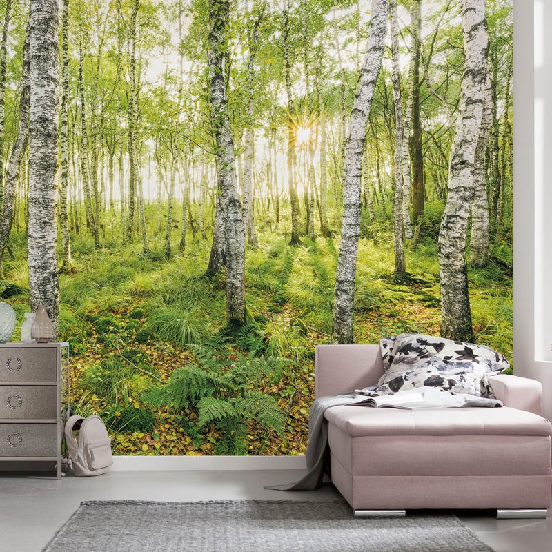 Fototapeta brzozy zielonym - 400 x 250 cm - SANDERS & SANDERS