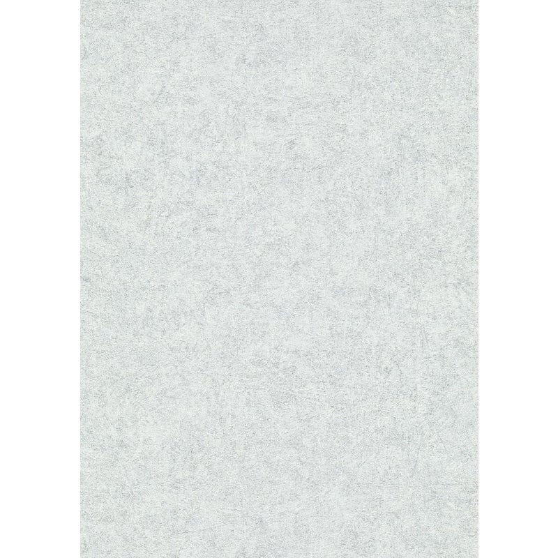 Tapeta zwykły szarym - 53 cm x 10.05 m - ERISMANN