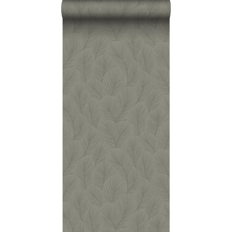 Tapeta przejrzeć zielonym - 53 cm x 10.05 m - BORASTAPETER