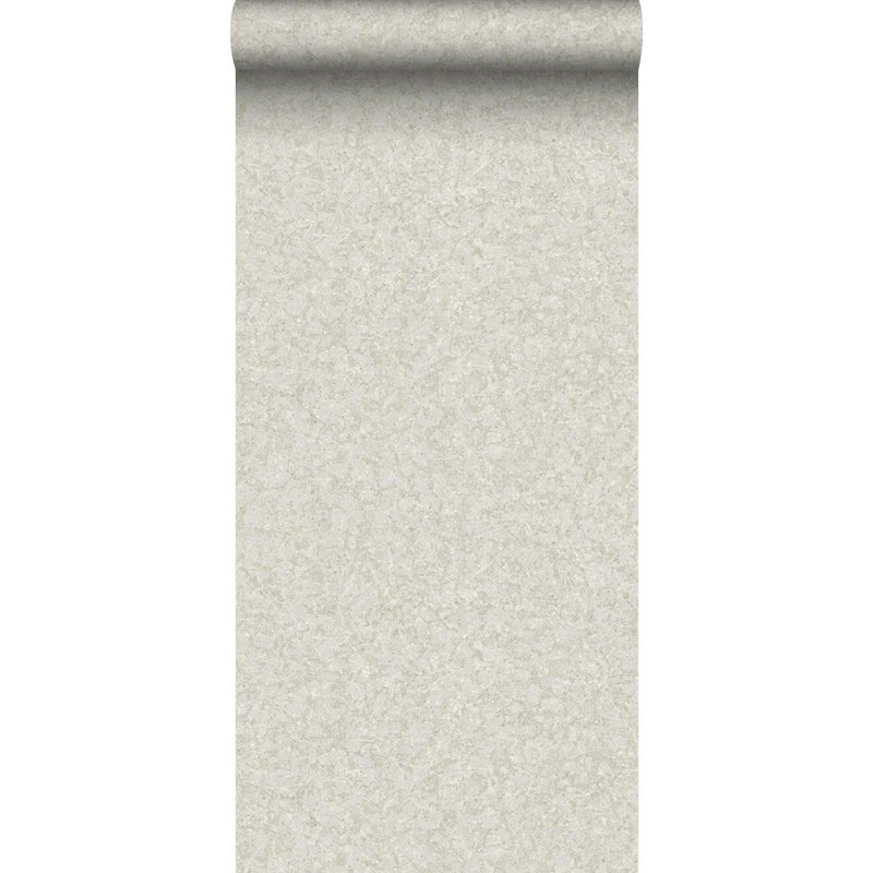 Tapeta przejrzeć szarym - 53 cm x 10.05 m - BORASTAPETER