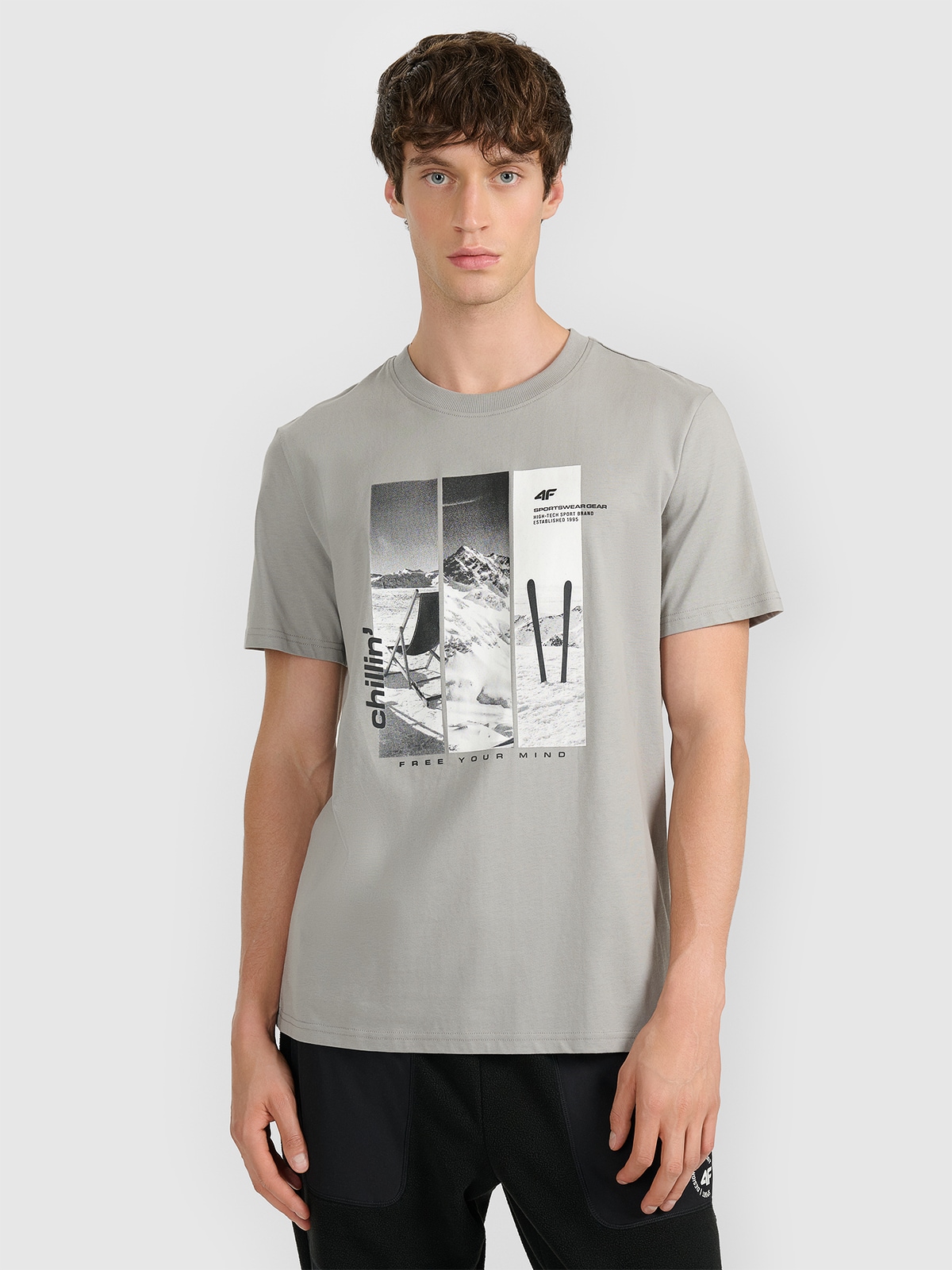 4F T-shirt regular z nadrukiem męski - szary XXL