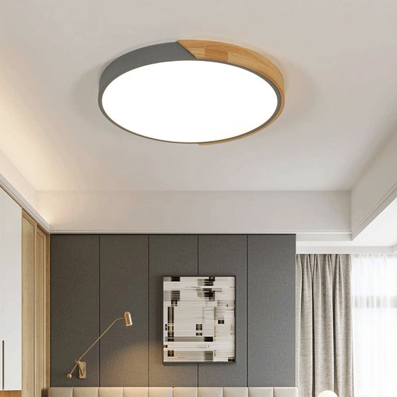 Lampa sufitowa LED 30CM, Lampa sufitowa metalowa, Lampa sufitowa nowoczesna, Zielone światła dekoracyjne, Ciepłe światło 3000K (24W)